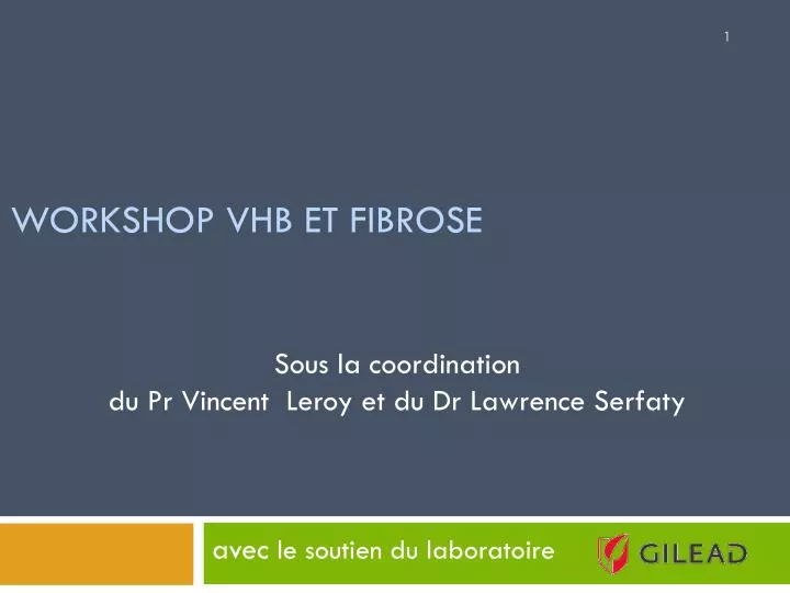 workshop vhb et fibrose