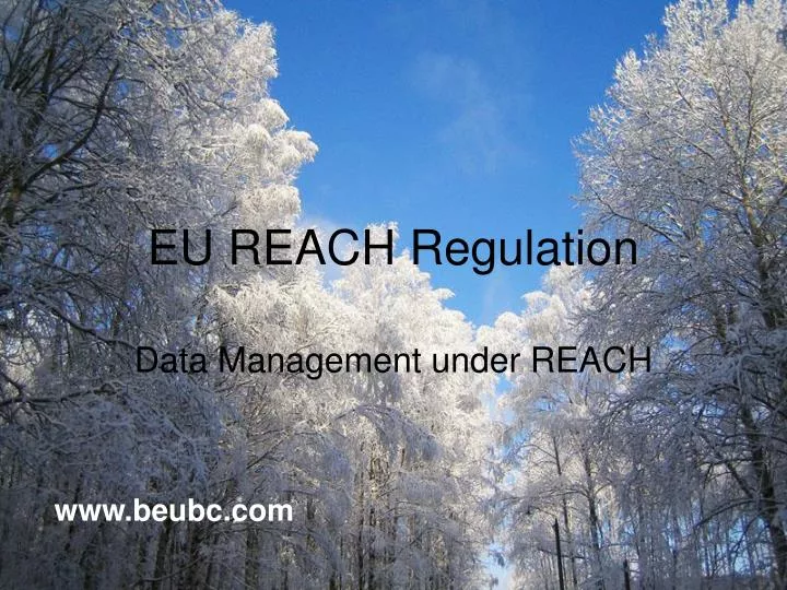 eu reach regulation