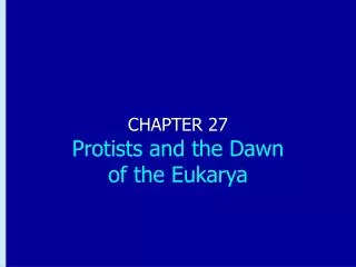 CHAPTER 27 Protists and the Dawn of the Eukarya