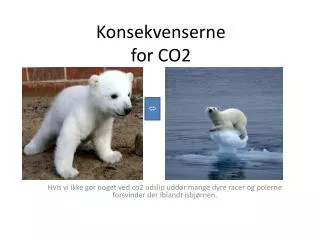 konsekvenserne for co2