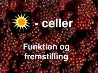 celler