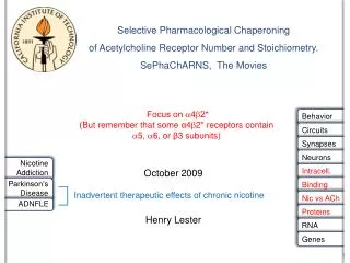 Selective Pharmacological Chaperoning of Acetylcholine Receptor Number and Stoichiometry.