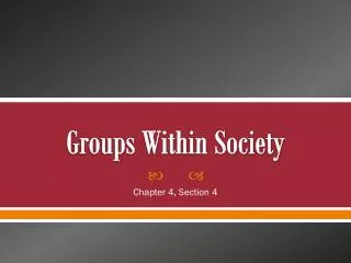 Groups Within Society