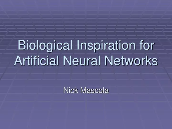 biological inspiration for artificial neural networks