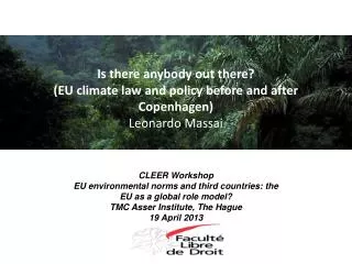 CLEER Workshop EU environmental norms and third countries: the EU as a global role model?