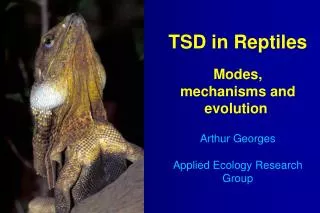 TSD in Reptiles