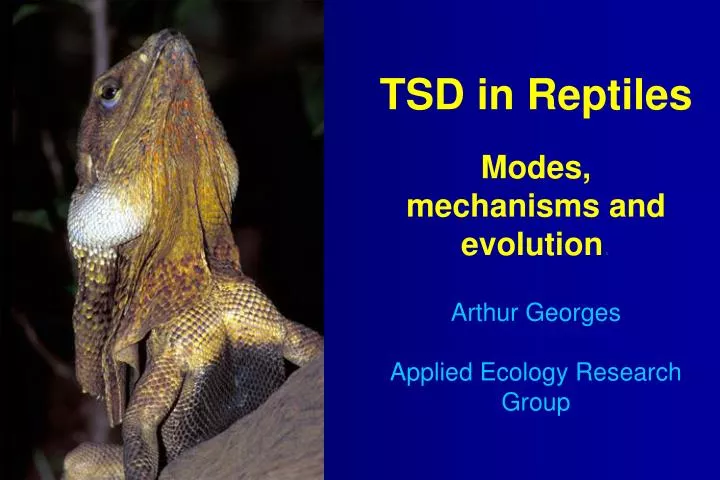 tsd in reptiles