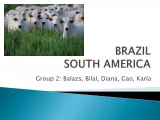 BRAZIL SOUTH AMERICA