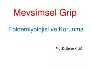 mevsimsel grip