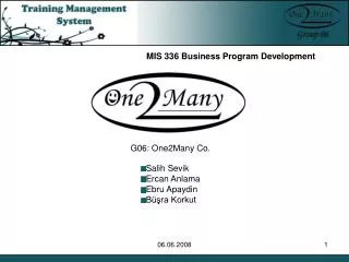 MIS 336 Business Program Development