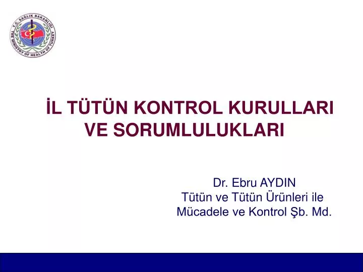 l t t n kontrol kurullari ve sorumluluklari