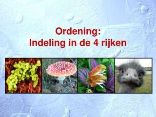 ordening indeling in de 4 rijken