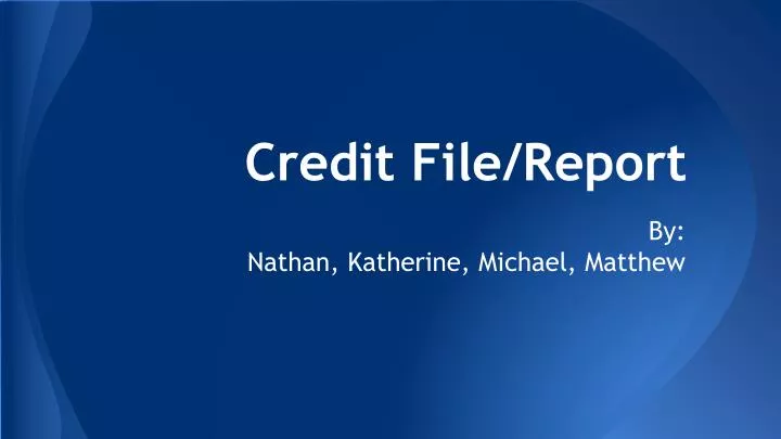 credit file report