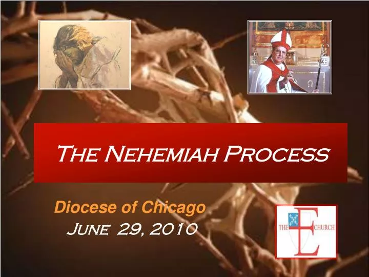 the nehemiah process