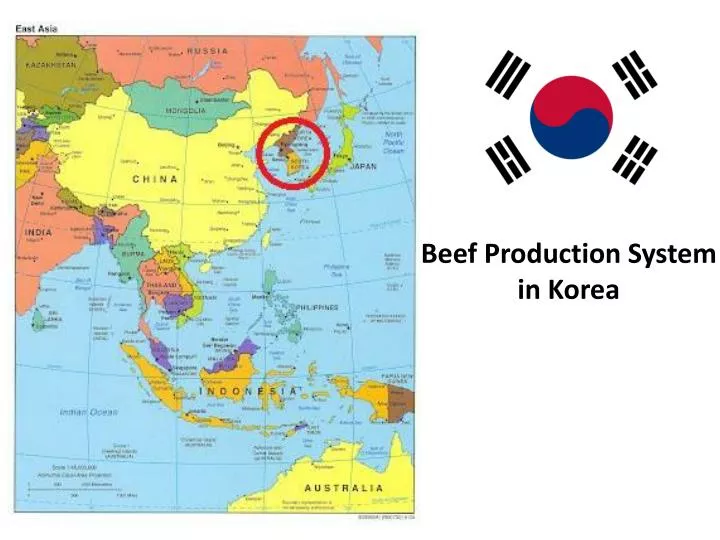 beef production system in k orea