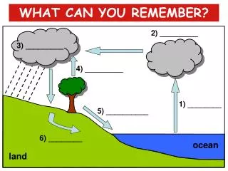 WHAT CAN YOU REMEMBER?