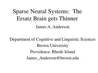 Sparse Neural Systems: The Ersatz Brain gets Thinner