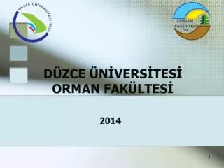 d zce n vers tes orman fak ltes