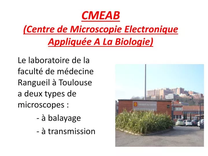 cmeab centre de microscopie e lectronique a ppliqu e a la biologie
