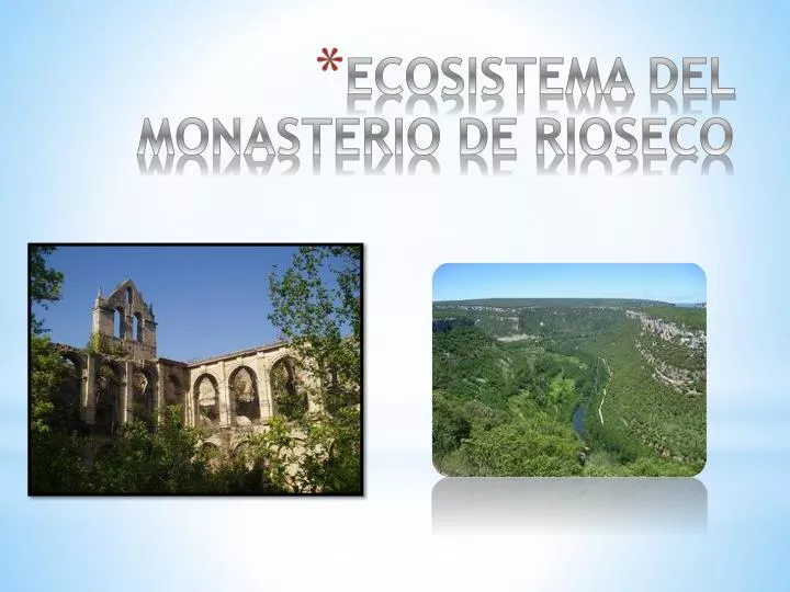 ecosistema del monasterio de rioseco