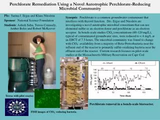 Perchlorate Remediation Using a Novel Autotrophic Perchlorate -Reducing Microbial Community