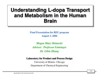 Understanding L-dopa Transport and Metabolism in the Human Brain