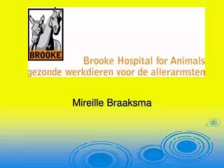 mireille braaksma