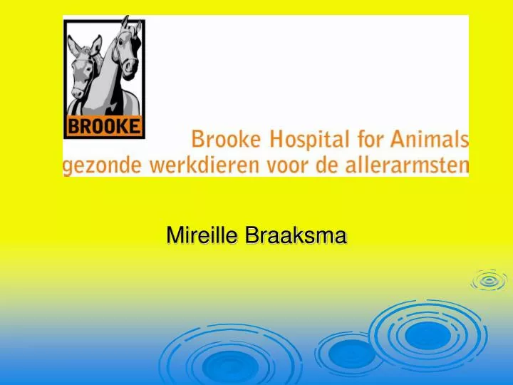 mireille braaksma