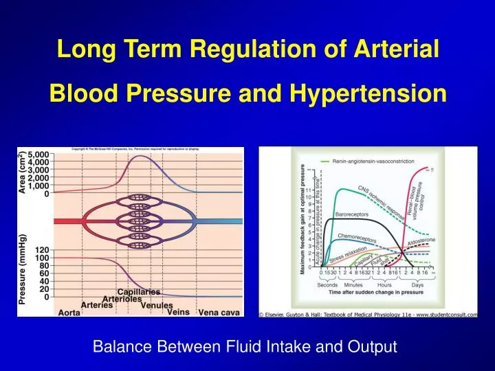 long term regulation of arterial blood pressure and hypertension