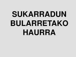 sukarradun bularretako haurra