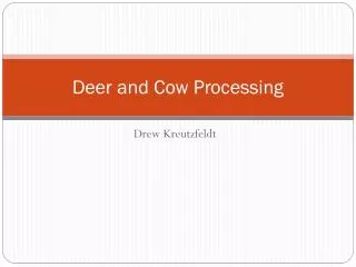 Deer and Cow Processing