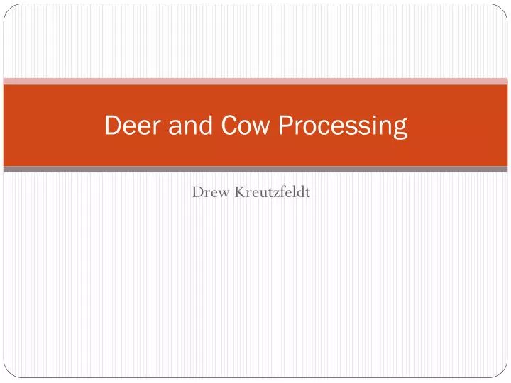 deer and cow processing