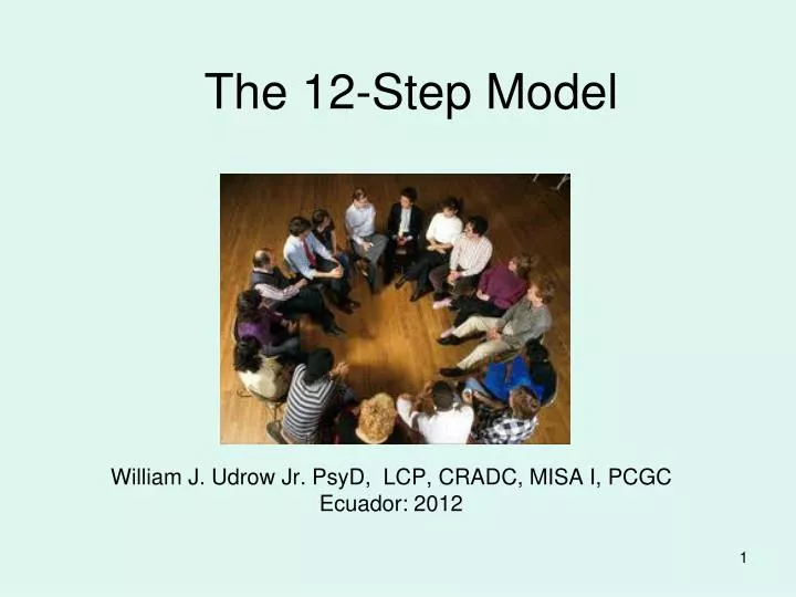 the 12 step model