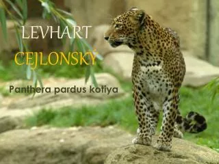 l evhart cejlonsk