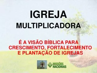 igreja multiplicadora a vis o b blica para crescimento fortalecimento e planta o de igrejas