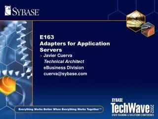 E163 Adapters for Application Servers