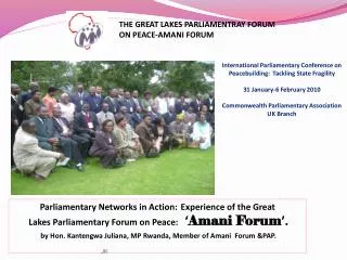 Parliamentary Networks in Action:	 Experience of the Great