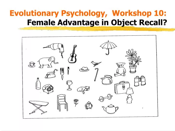 evolutionary psychology workshop 10 female advantage in object recall