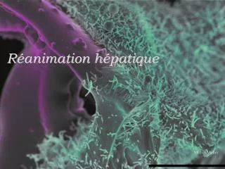 r animation h patique