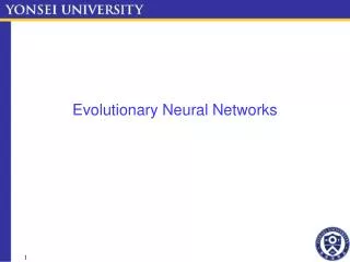 Evolutionary Neural Networks