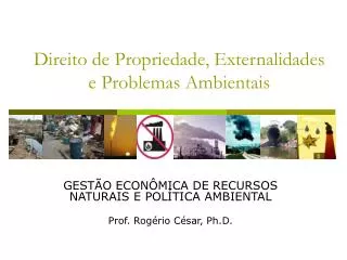 direito de propriedade externalidades e problemas ambientais