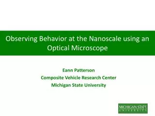 Observing Behavior at the Nanoscale using an Optical Microscope