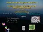 Content Protein fold and structure Homology modeling Protein-protein docking - slide 1