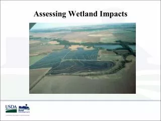 Assessing Wetland Impacts