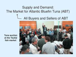 Supply and Demand: The Market for Atlantic Bluefin Tuna (ABT)
