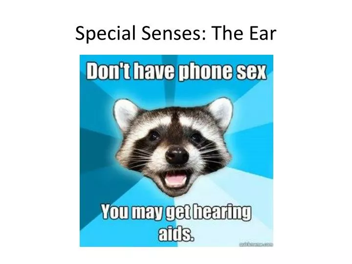 special senses the ear