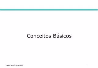 conceitos b sicos