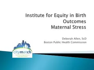 Institute for Equity in Birth Outcomes Maternal Stress