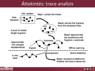 ttekint s trace anal zis