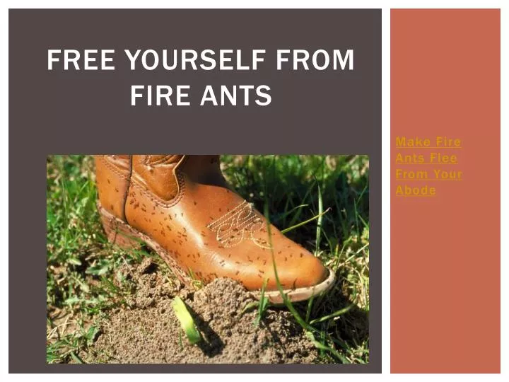 free yourself from fire ants